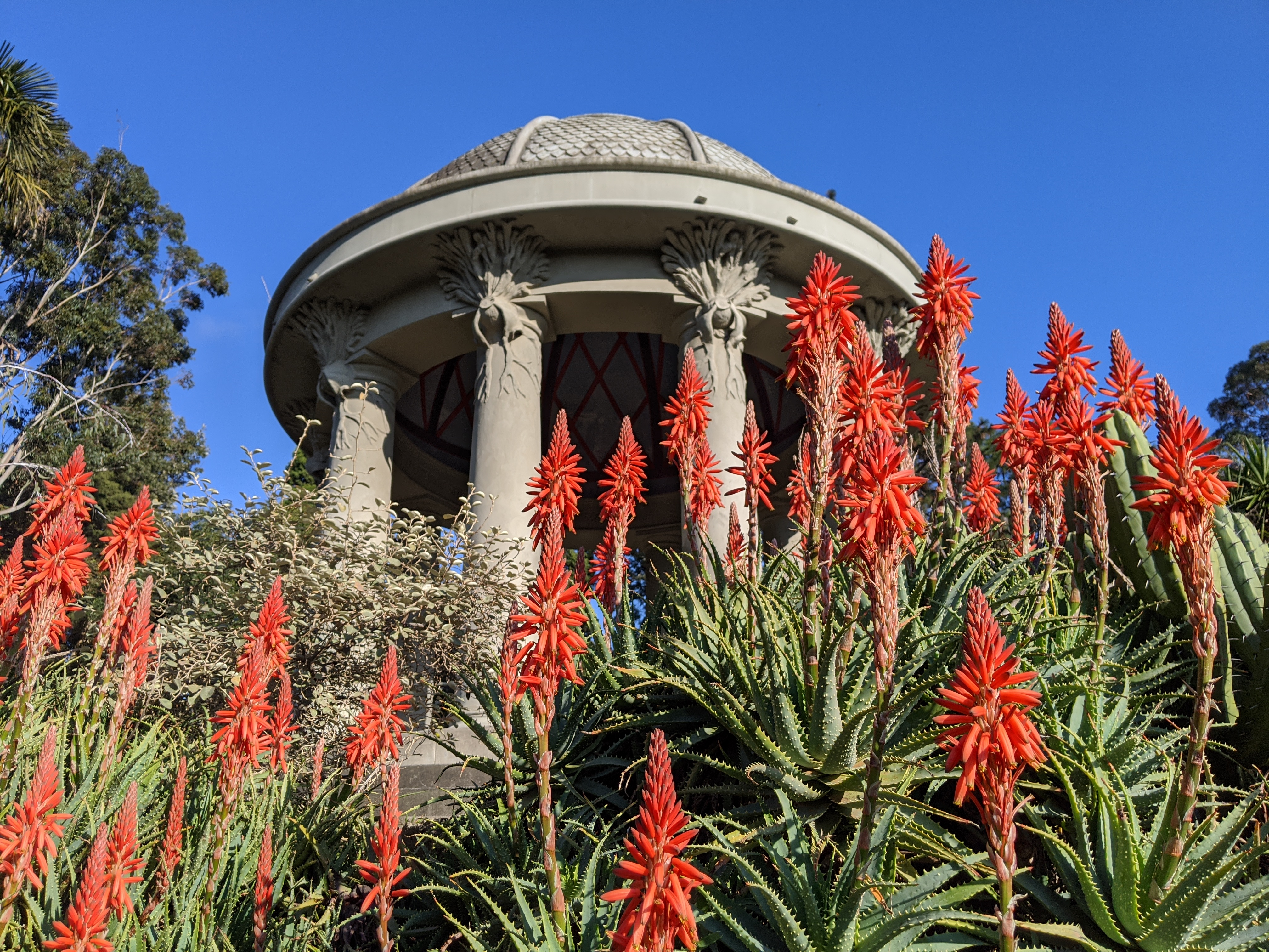 Royal Botanic Gardens Victoria, Melbourne, VIC  The Council of Heads of  Australian Botanic Gardens (CHABG)
