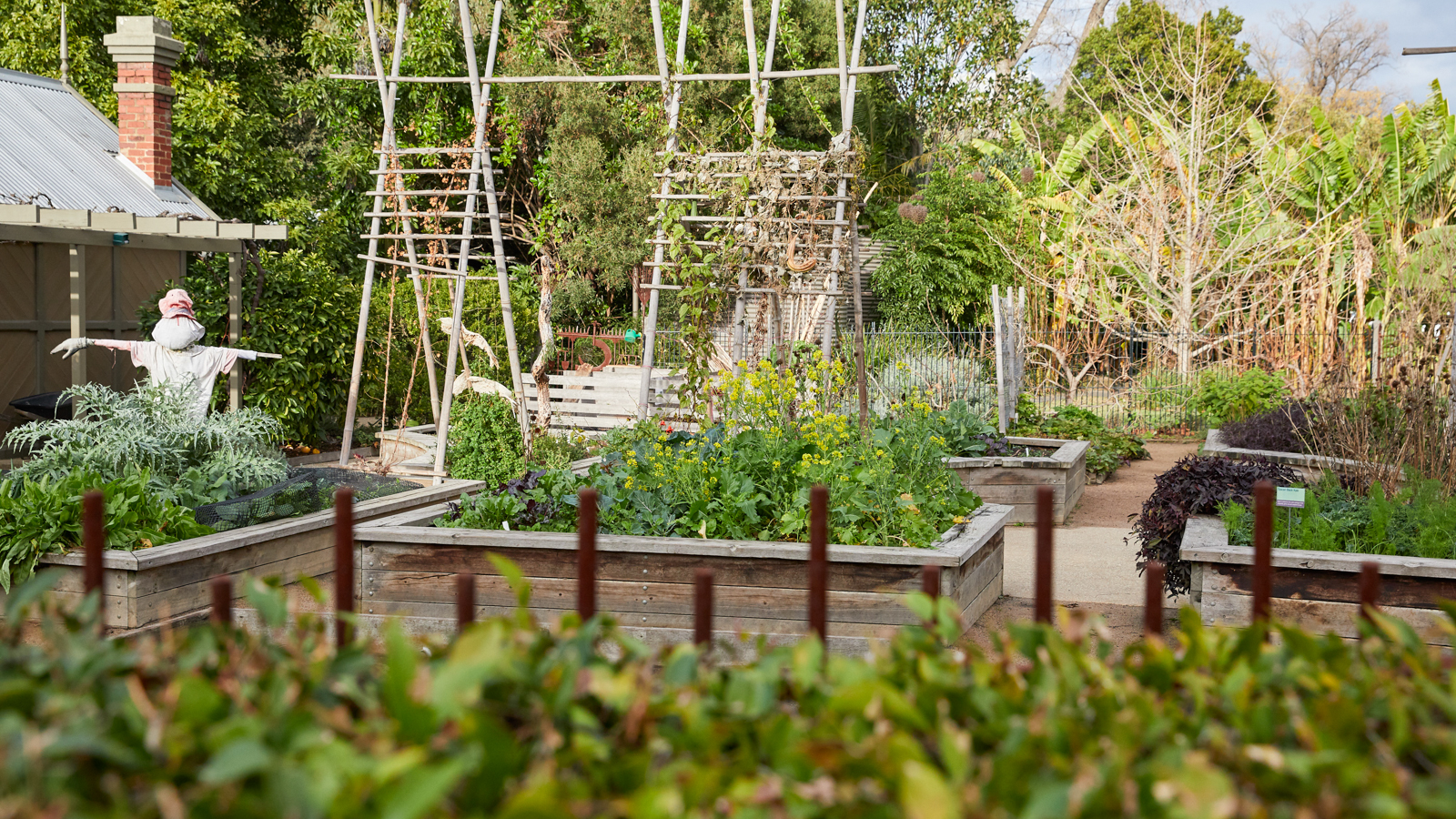 Victorian Challenge and Enrichment Series | Royal Botanic Gardens Victoria