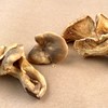 Five yellowish-brown, twisted mushrooms with undulating caps and sit at various angles against brown paper.