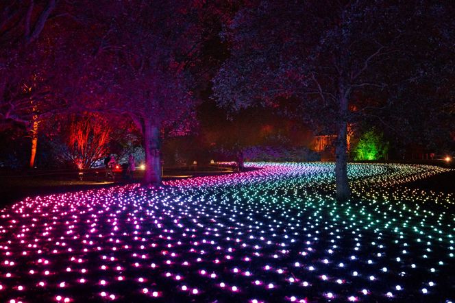 Lightscape | Royal Botanic Gardens Victoria