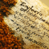A close-up of dark orange moss on a piece of animal bone. The species name, collecting locality and collector have been neatly handwritten directly on the bone.