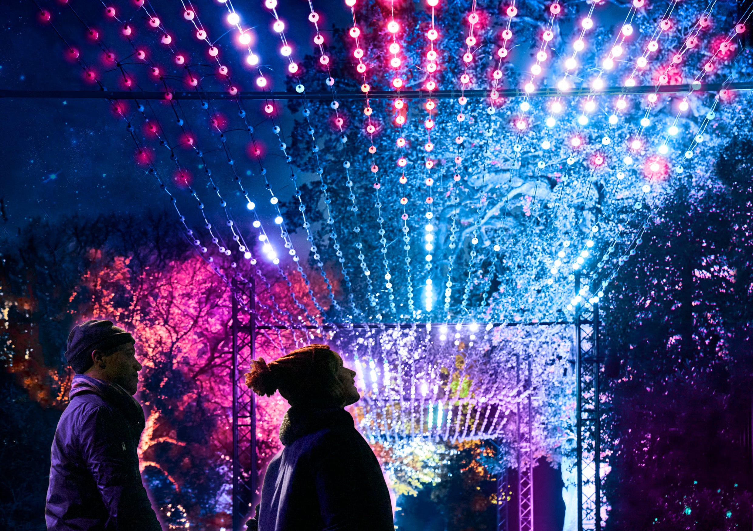 Lightscape Royal Botanic Gardens Victoria